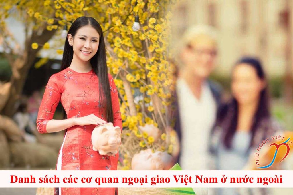 cơ quan ngoại giao việt nam ở nước ngoài